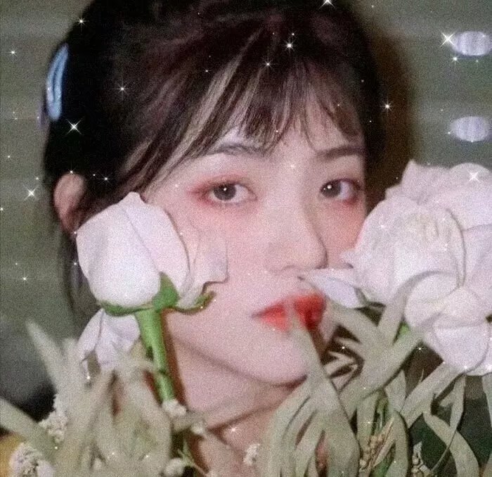 莫里斯的情人