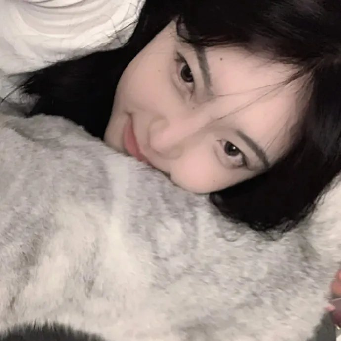 霹雳皇龙纪
